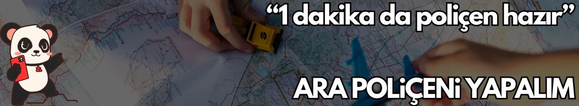 seyahat sağlık sigortası yaptır